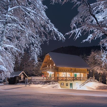 Brunarica Бохінь Екстер'єр фото
